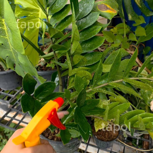 ฟ๊อกกี้ หัวฉีดขวดน้ำ สำหรับใส่ขวดน้ำอัดลม หัวหมุนปรับระดับได้ตามต้องการ