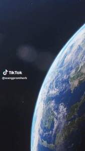 Herbal Aromatic Wood Inhaler Formula 2 Yadom Wangprom Brand Thailand 7g. ยาดมสมุนไพรไม้หอมวังพรม สูตร 2