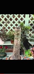 植物树木果树伤口愈合剂盆景树枝剪枝树桩树皮嫁接切口修复涂抹膏