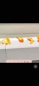 希望果树除甲醛果冻小绿罐新房家用清除剂专用强力型神器除醛植物