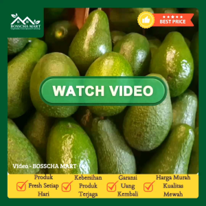 Alpukat Mentega 1 Kg - 6/7 Butir