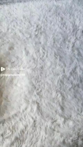 6pcs guffy sport bra wanita/bhwanta remaja dewasa tanpa kawat/busa