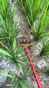 อีคุบจิ๋วพร้อมด้ามจับ พรวนดิน ดรายหญ้าร่องนา