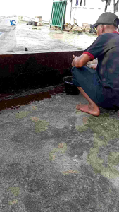 Asphalt emulsion aspal cair for waterproofing 1kg cat pelapis anti rembes dan bocor solusi tepat atasi masalah kebocoran pada bangunan anda dengan daya rekat lebih kuat dan tahan lama serta cepat kering