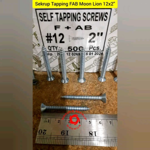 (10 pcs) Sekrup FAB 12x2\" / Skrup Tapping Kepala Rata 5CM