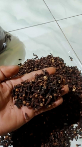 cengkeh kering 100g
