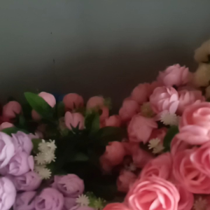 bunga rose telur tulip premium cabang 5. jual per lusin.