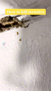 Powder Termite Killer Strong Effects Termite Medicine To Kill Whole Nest White Ant Serbuk Anai-Anai