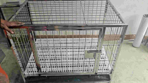 pure stainless 304 dog cage 2×3×2.5 1door 3/16 shafting