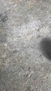 ไส้ท่อแบบจิก/ตะแกรงครึ่ง2สเต็ป4-2วาล์ว/1.6-1.7(44-48)สำหรับรถมอเตอร์ไซค์