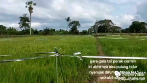 Tali Perak Alat Pengusir Burung di sawah Panjang 800 m