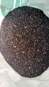 ข้าวเหนียวดำตราเด็กหัวจุก🌾🌾แพ็คสูญญากาศ1แพ็ค=1กก.ค่ะ