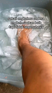 Paket 5 Box Etawanesia Etawa Biru & Susu Kambing Etawa Platinum