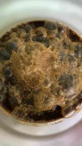 MPT men vi sinh xử lý ao tôm cá 227g