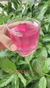 Nước giặt xả 2in1 L-lusk công nghệ mới. sự lựa chọn uy tín của người tiêu dùng