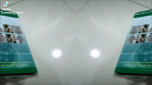 Máy Mát-Xa Trị Liệu 8 Miếng Dán Đầu Ra Kép Đa Chức Năng Máy Massage kỹ thuật số giảm béo giảm đau chăm sóc sức khỏe