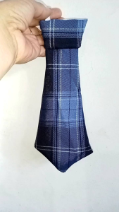 Necktie/ accessories / school uniform/ 2PCs/ same in Valenzuela color/ garterized tali/ with 3 variants of sizes/ 7-inches long/ 9 inches long/ 12 inches long/ send your actual onhAnd color for Clarifications / monitor your shipping courier