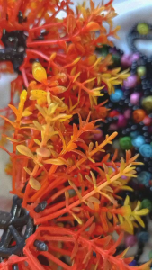 Gelang manik Daisy Smile Bracelet Black Series Handmade ✨