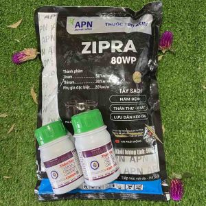 Giải pháp tẩy rong rêu và nấm hồng trên thân cành và lá