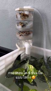 กรองคอนโด 4 ชั้นแบบใส ขนาด 9x9x23 CM กรองตู้ปลา กรองน้ำใส อ่างปลาบอลลูน อาหารปลา อ่างปลาเมกาดะ อ่างปลาหางนกยูง อ่างปลา
