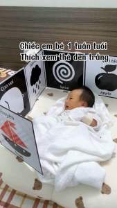 Thẻ Kích Thích Thị Giác Cho Trẻ Sơ Sinh Flash Card Kích Thích Thị Giác - Zíc Zắc Cho Bé 0-1 Tuổi Thẻ In 2 Mặt