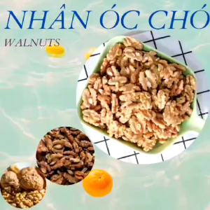 Nhân óc chó hữu cơ sấy chín giòn ngon giàu dinh dưỡng