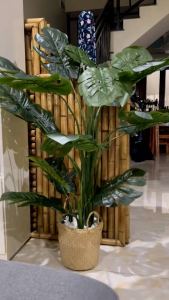 Cây Lá Rùa giả trang trí Decor cao 1m4 không kèm chậu