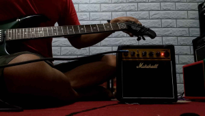 Ampli gitar & bass 5 inc distorsi 2 input termurah bergaransi