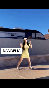 DRESS SERUT LENGAN PENDEK 1477 (S-XL) - Dandelia