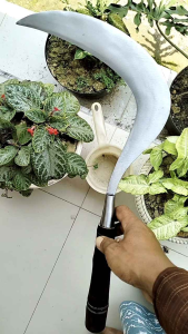 Arit Rumput Bahan Full Baja Pirmodel super mewah jaminan tajam sampai kecil dan anti rompal dan mleot siap untuk digunakan sudah diasah tinggal pakai saja kualitas tidak bisa diragukan lagi dijamin jos dan toko paling cepet dan amanaharit ini disepuh