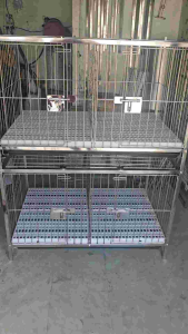 2layer 2×3×2 stainless dog cage 4doors with plastic pooptray and free wheels