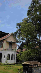 Celana Cargo Panjang Biker Pria Skinny Slimfit: Desain Casual Pria & Ukuran Tinggi