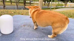 Petscaso Pet Camera with Treat Dispenser - 3MP HD Camera App Control Real-Time Interaction