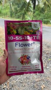 PHÂN BÓN NPK 10-55-10+TE CHUYÊN TẠO MẦM KÍCH THÍCH RA NỤ RA HOA ĐỒNG LOẠT GÓI 250GR