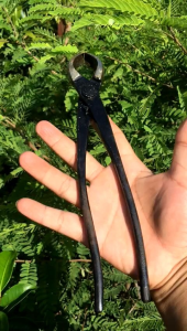 Catok Bonsai Krokot/Krekut (Cembung)