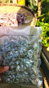 COD ikan asin KEMASAN VACUM promo termurah