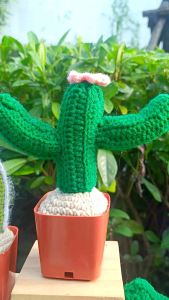 เเคคตัสไหมพรม ต้นกระบองเพชร🌵งานถัก