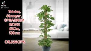 THICKER  STRONGER TREATED SPHAGNUM 2 SIZE : 65cm&130cm