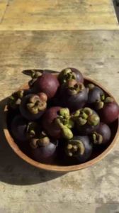 YM’s Coco Pudding 368g