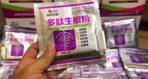 Sỉ 1 hộp 25 gói kích rễ Nội địa trung gói 30gr