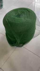 Lưới Rào Gà Rào Vườn Leo - Khổ Rộng 2M - Mắt 2.5cm x 2.5cm - Lưới Bán Theo Mét Tới