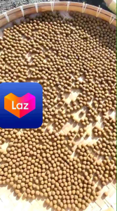 JAMU KM Untuk Ayam Bangkok Laga: Meningkatkan Nafsu Makan & Agresivitas