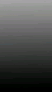 Bibit buah arben hutan - arbei - raspbery - tanaman mulai langka