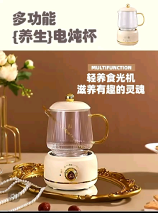 New Design ! Ready Stock ! 600ml 正山智能电炖煲养生杯 Electric Multifunction Health Pot Cup