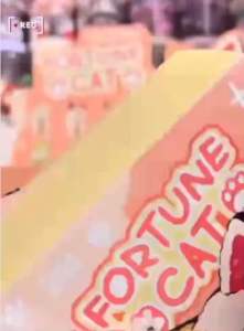 ลุ้น1ตัว🐈‍⬛ ตุ๊กตาพวงกุญแจ SAMSAM Fortune Lucky Cat Vinyl Face Plush Keychain Series Blind Box by PAWS NOVA