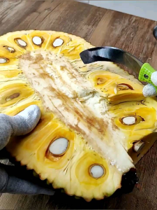 (สินค้ามีพร้อมส่ง) มีดคว้านขนุน มีดปอกขนุน คว้านแกน ด้ามจับพลาสติก มีดออกแบบโค้งมนพิเศษสำหรับใช้คว้านขนุน