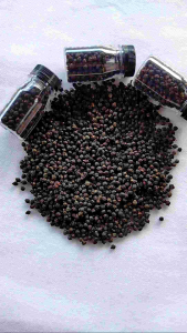 Angkung Kering Obat Herbal 300 Biji Bonus 30 Biji