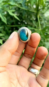NATURAL BACAN DOKO AJIB