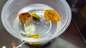 rantai leher Amber pendant 琥珀血珀吊坠
