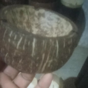 Asbak Batok Kelapa: Asbak Ramah Lingkungan untuk Ruang Tamu